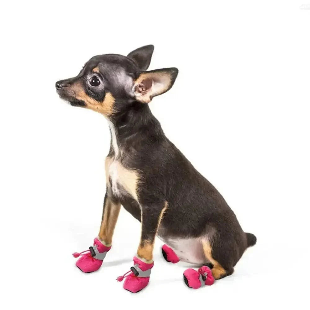 PawGlow - Scarpe protettive riflettenti per cani (x4)