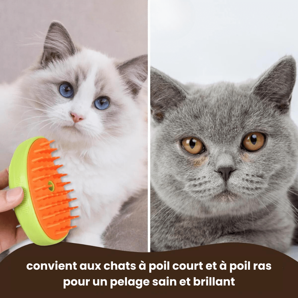 PurrSpa | La brosse vapeur révolutionnaire