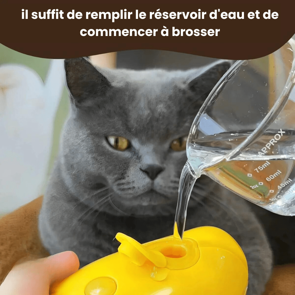 PurrSpa | La brosse vapeur révolutionnaire