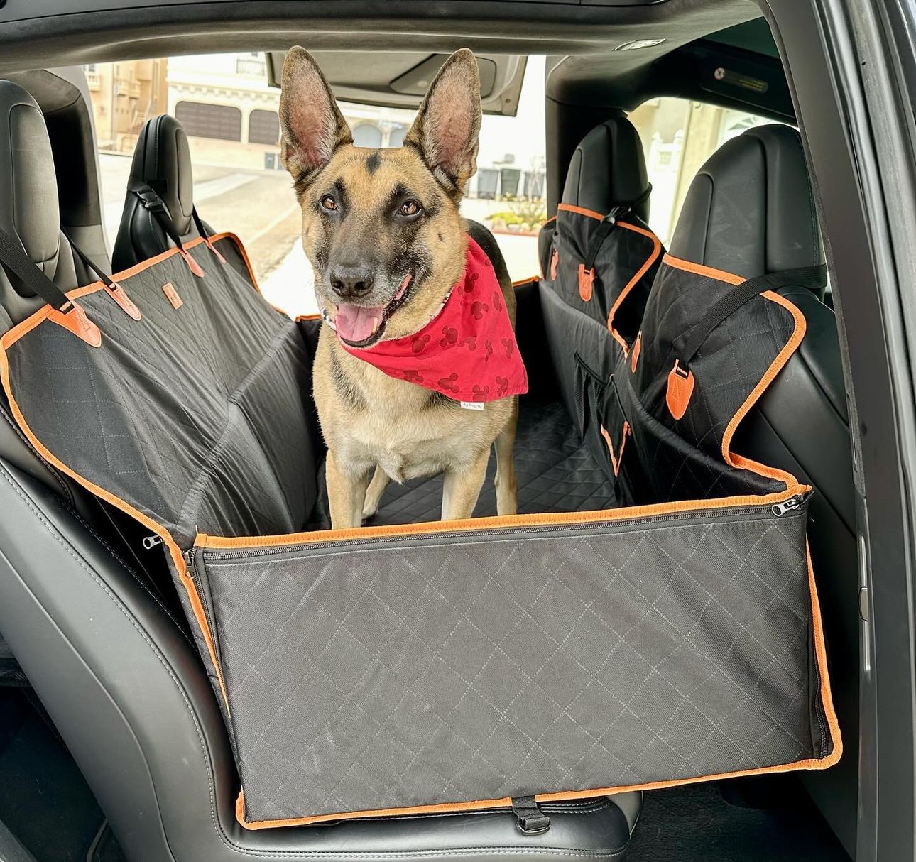 PetsNid Housse pour siège voiture - Base Solide